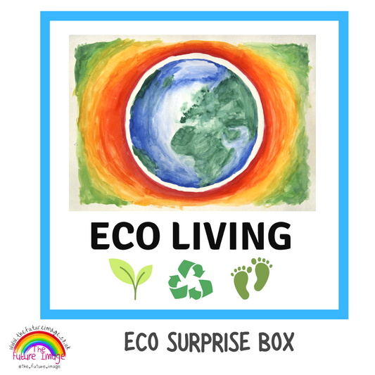 Eco Home Living Surprise Box