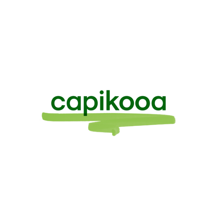 Capikooa Balance Boards (Formerly known as Curvy Boards)
