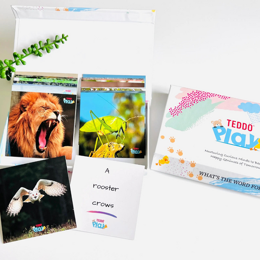 Teddo Play - Animal Sounds & Bird Calls Flashcards