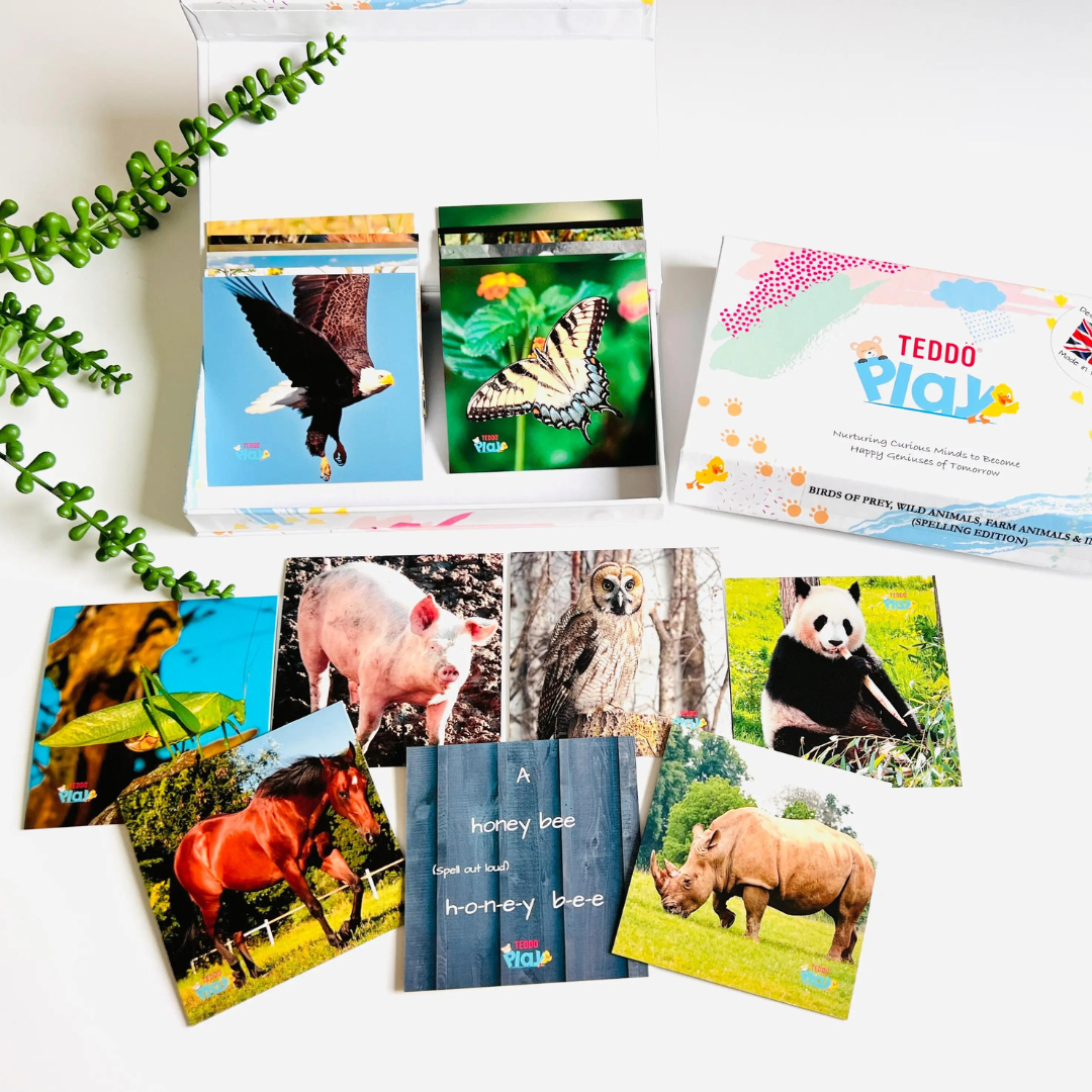 Teddo Play - Birds of Prey, Wild Animals, Farm Animals & Insects (Spelling Edition) Flashcards