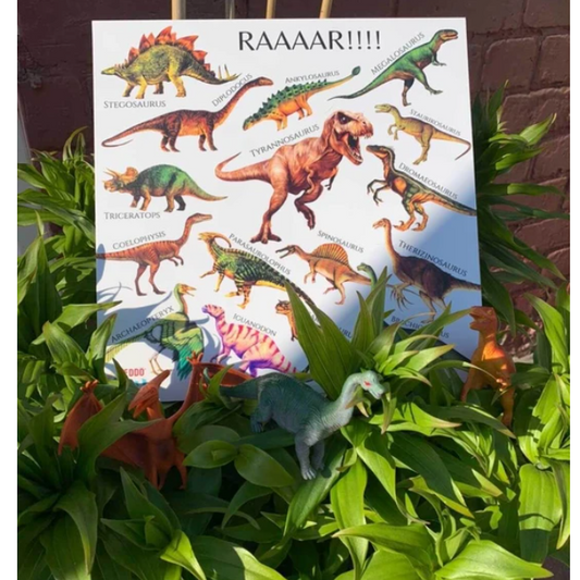 Teddo Play - Dinosaurs - Educational Poster Board