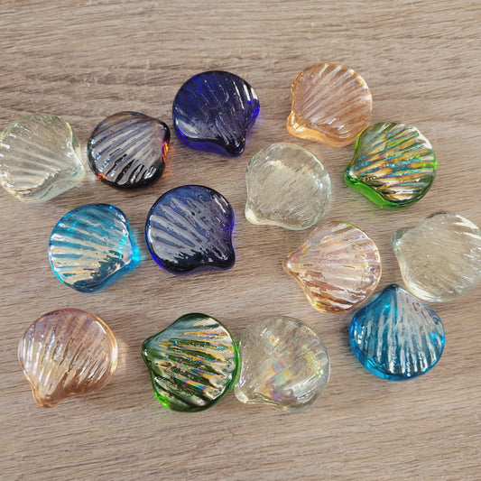 Glass Shells Stones