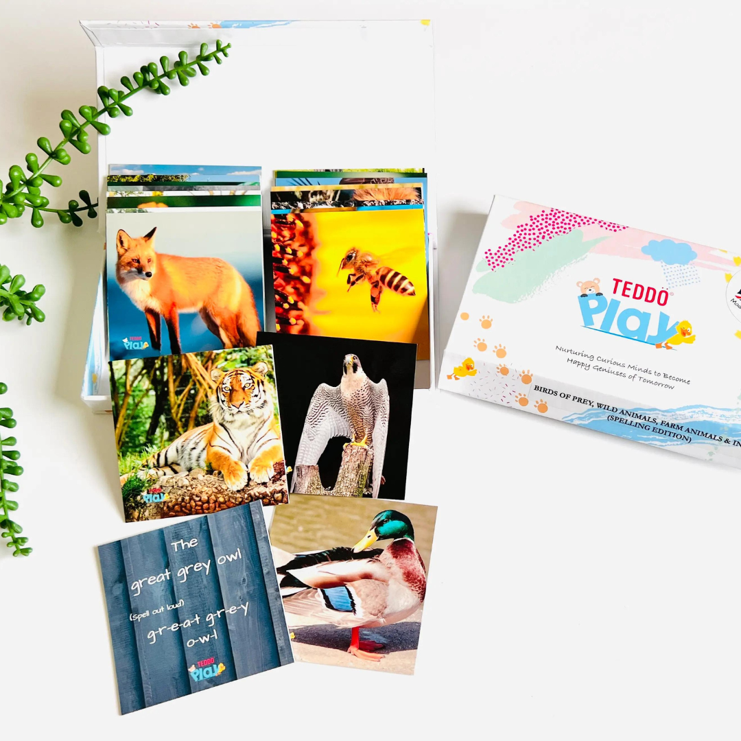 Teddo Play - Birds of Prey, Wild Animals, Farm Animals & Insects (Spelling Edition) Flashcards