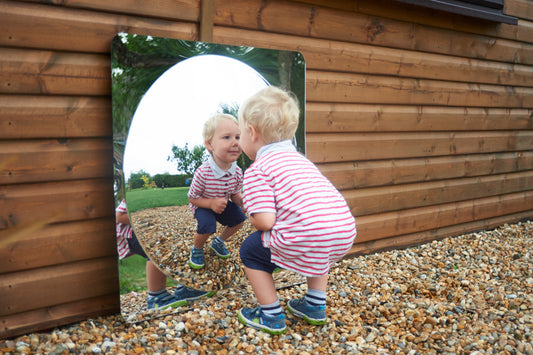 Giant Single Dome Acrylic Mirror Panel - 780mm