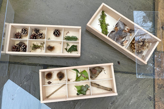 Wooden Discovery Boxes