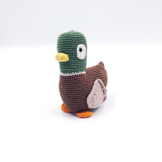 Farm animal – mallard duck