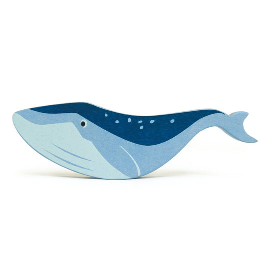 Coastal Animals - Whale